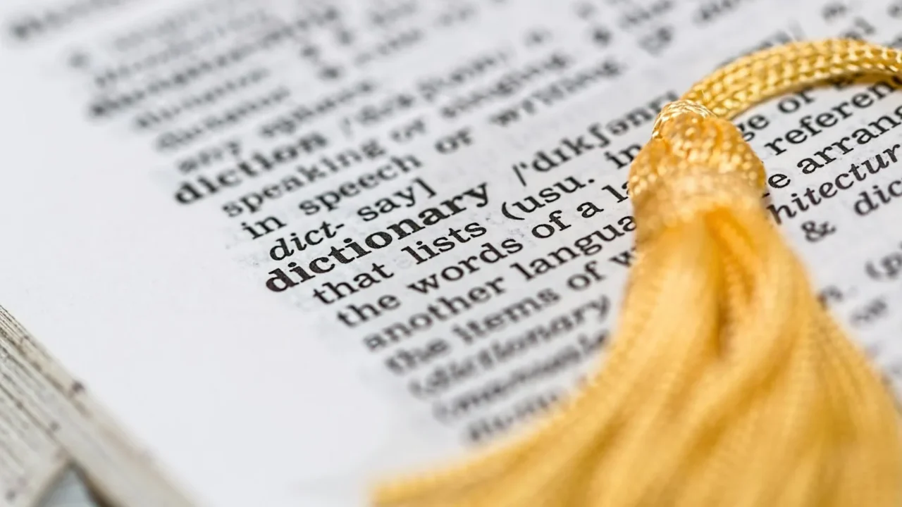 Dictionary Definition