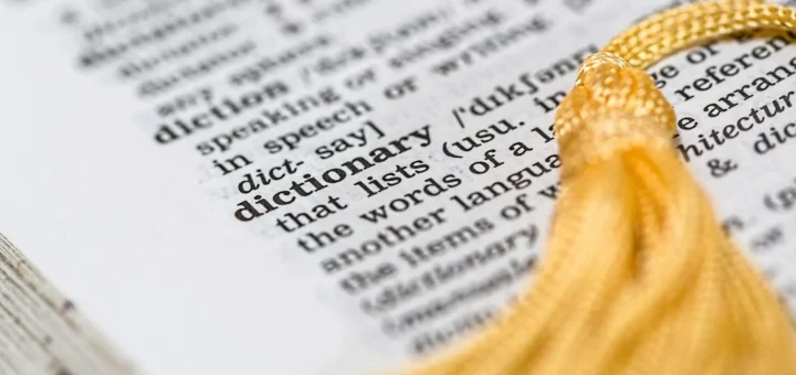 Dictionary Definition